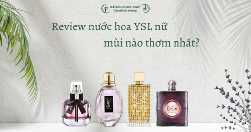 Review nước hoa YSL nữ mùi nào thơm nhất?