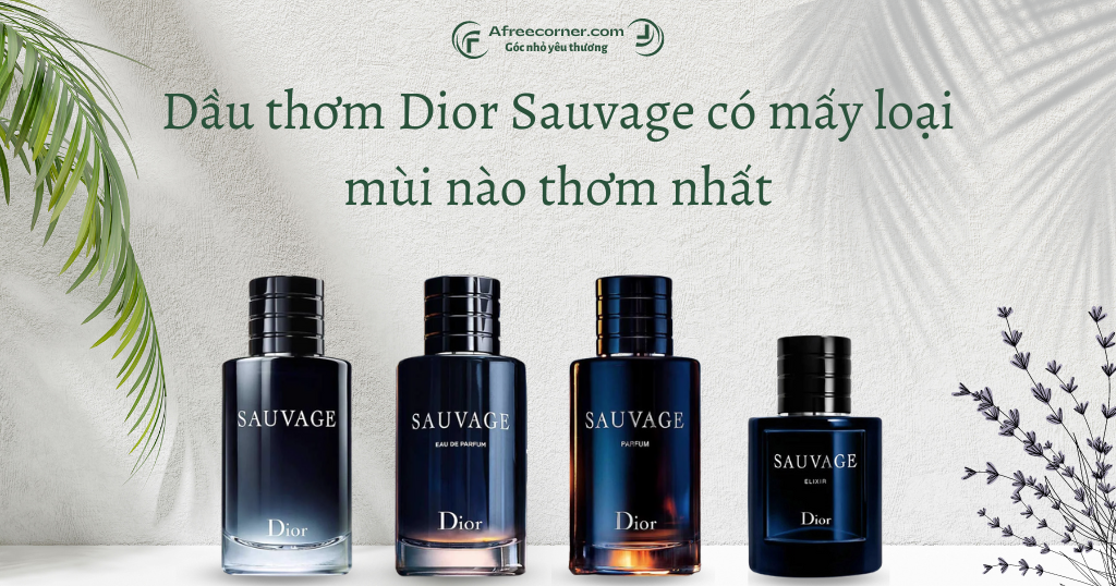Nước hoa Dior Sauvage có những phiên bản nào Mùi nào thơm nhất  hdperfume