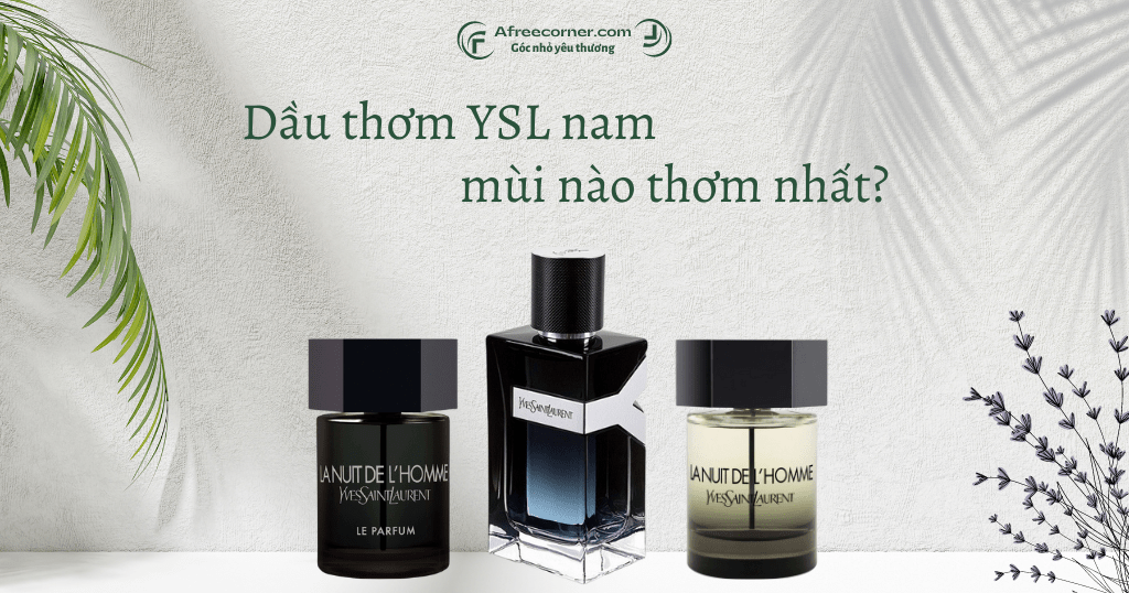 Dầu thơm YSL nam mùi nào thơm nhất