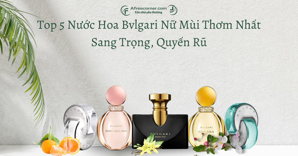 Top 5 Nước Hoa Bvlgari Nữ Mùi Thơm Nhất – Sang Trọng, Quyến Rũ