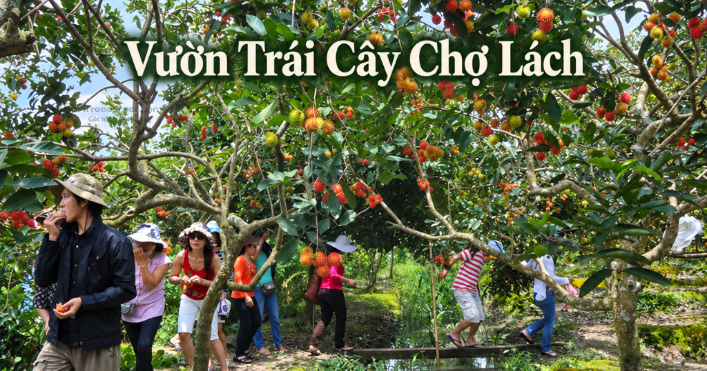 Chợ Lách cũng được biết đến là một trong những vùng trồng cây ăn trái nổi tiếng khi đi du lịch Bến Tre