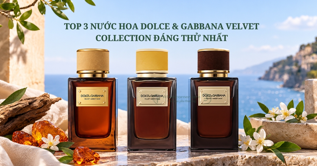 Top 3 Nước Hoa Dolce & Gabbana Velvet Collection Đáng Thử Nhất